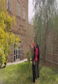 مراسم 